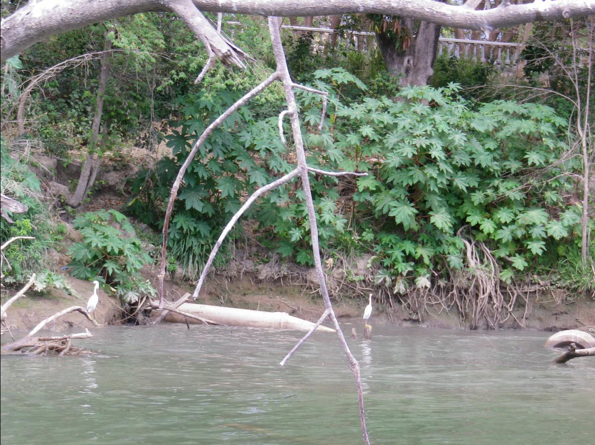 Sumidero Canyon near Tuxtla Gutierrez012